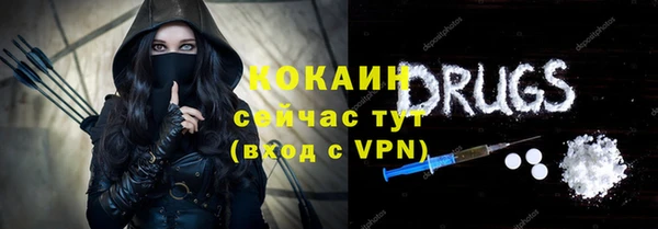 стаф Аркадак