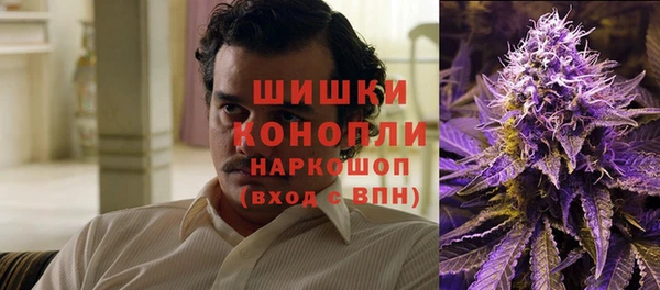 бошки Алзамай