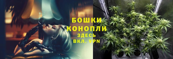 индика Бежецк
