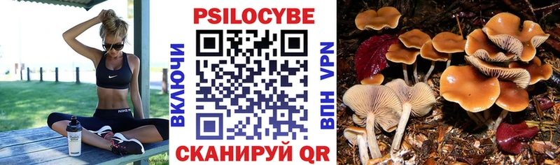 даркнет сайт  Курган  Псилоцибиновые грибы мицелий 