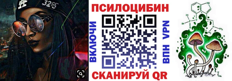 Псилоцибиновые грибы Cubensis Курган