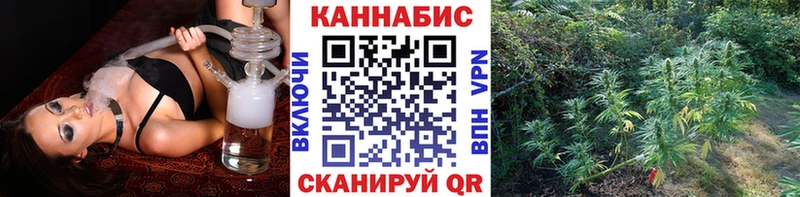 Канабис планчик  Курган 